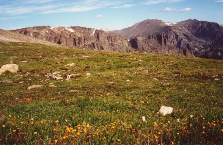 RMNP Tundra
